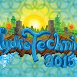 Sean Place - Live @ Hydrotechnics Festival 2015