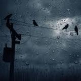 Smooth Tunes For A Blue Mood