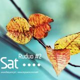 Sat - Ruduo 2 (January, 2010)