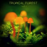 Tropical Forest Vol.1 Compiled by Beyond Universe (Lysergic Sounds Of Dream)