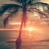 Dj Felipe Oliveira - Set Agosto