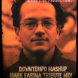 Downtempo Mashup (Mark Farina Tribute Mix)