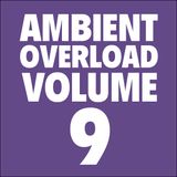 Ambient Overload Vol. 9