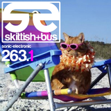 Sonic Electronic 263 Part 1 (indie house, g-house, house)