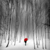 Snowy