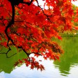 Kharma - deadly autumn 2010 mix