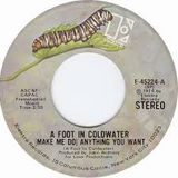 Danny Taylor of A Foot in Coldwater on Oldies Without Borders: January 23, 2015