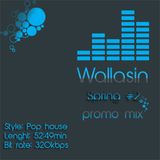 spring promo mix #2