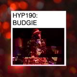 Hyp 190 - Budgie