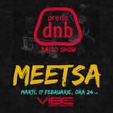 Arena dnb radio show - vibe fm - mixed by MEETSA - February 17th 2015