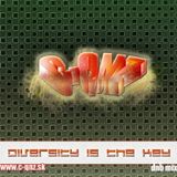 Diversity Is The Key mix (2009)