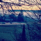 URBaN FoREST #miXtape 029 - FRoSTED GrEEN