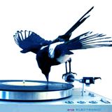 Jörg Hartner-This is...vol.1 (live recording 21.1.2012)