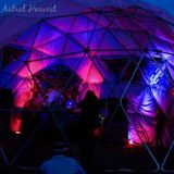 Kundalini Rising - Astral Harvest 2013 in the Illumasphere