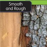 Smooth and Rough