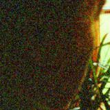 Dark Noise and Step 10th mix