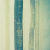 Resonance 08