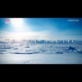 To the Arctic