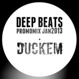 DeepBeats promomix Jan13 - DUCKEM