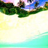 Lucid