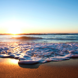 Summer Open Mix 2014