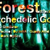 E/pic Forest (Mitschnitt 4/14) feat. Infra & Karbo&Focojo