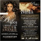 NIGEL B & JON JUNIOR'S B'DAY PROMO CD (2013)(DEEP SOULFUL HOUSE)