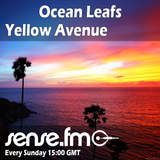 Ocean Leafs - Yellow Avenue 004 (12-07-08)