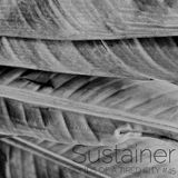 Sounds Of A Tired City #45: Sustainer