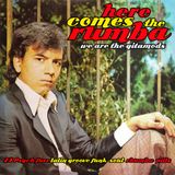 Here comes the Rhumba - we're the gitamozs