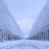 Winter mix