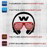 Wake - First LIVE Electro House (2013-10-18)