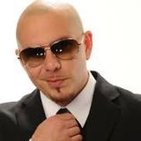 PITBULL MINIMIX