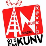 The Neon Reverb Radio #5-10 Jan. 12th, 2014