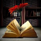 تاريخ بشكل تانى (الحضاره فى مكه)