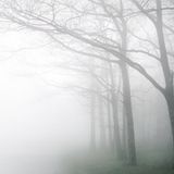 Deep Serenity #1