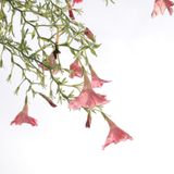 Mid Summer Mix July 2014
