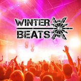 FORMAT B live auf WINTER BEATS 2014, Saturn Arena, Ingolstadt