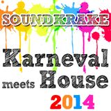 MonatsMix #19 - Karneval meets House 2014
