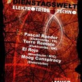 Torro Remote - SnapShot Elektrotribe October 2012 Promo Mix