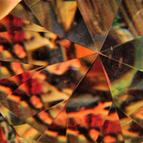 Reverberation #41
