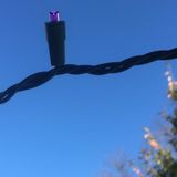 Blue Drag