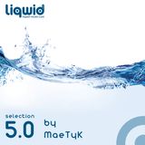 Liqwid selection 5.4 By MaeTyK - best of INTEC (techno)