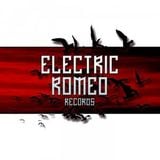 THE VOLTARENES - LICHT (DING MIT KNOEPPEN RMX -OUT : 15.01.2013 ELECTRIC ROMEO RECORDS)