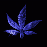 = AA = marihuana session