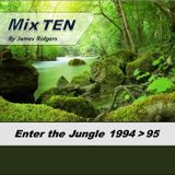Enter the Jungle 1994 > 95