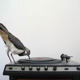 Eva Salgado @ NOISE Cacao Label Presented (8-02-2013). Turntablism. Mix Recorded Live.