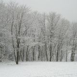 Winter Ends