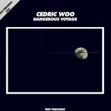 Test Pressing 026 / Cedric Woo / Dangerous Voyage