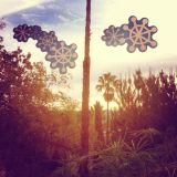 A California Christmas